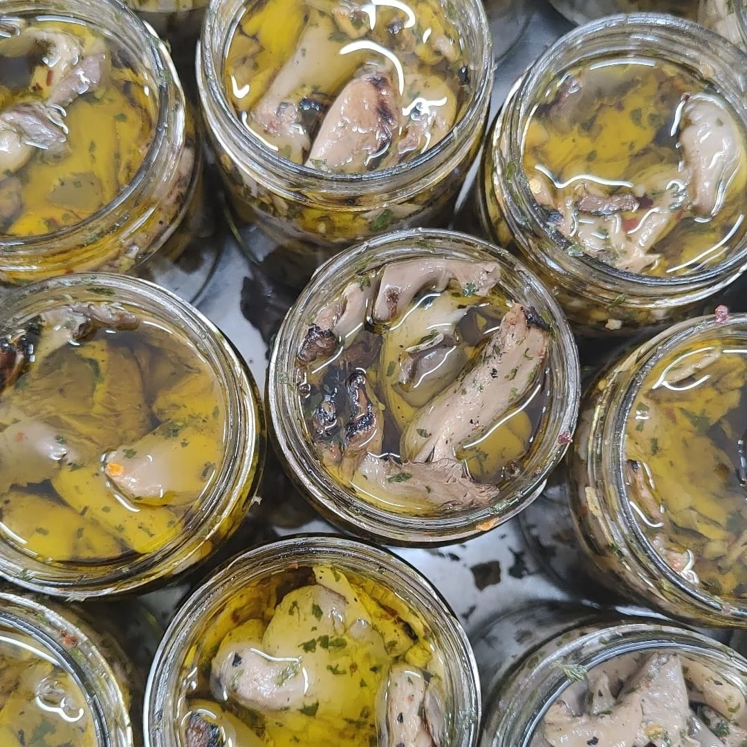 Hot Sell Canned Artisanal Grilled Pleurotus Mushrooms With Extra Virgin Olive Oil Ideal For Snack Sandwiches Or Dishes