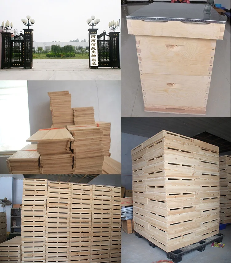 Dovetail bee hives for beekeeping Fir 3 Layer bee hive box in bulk wholesale