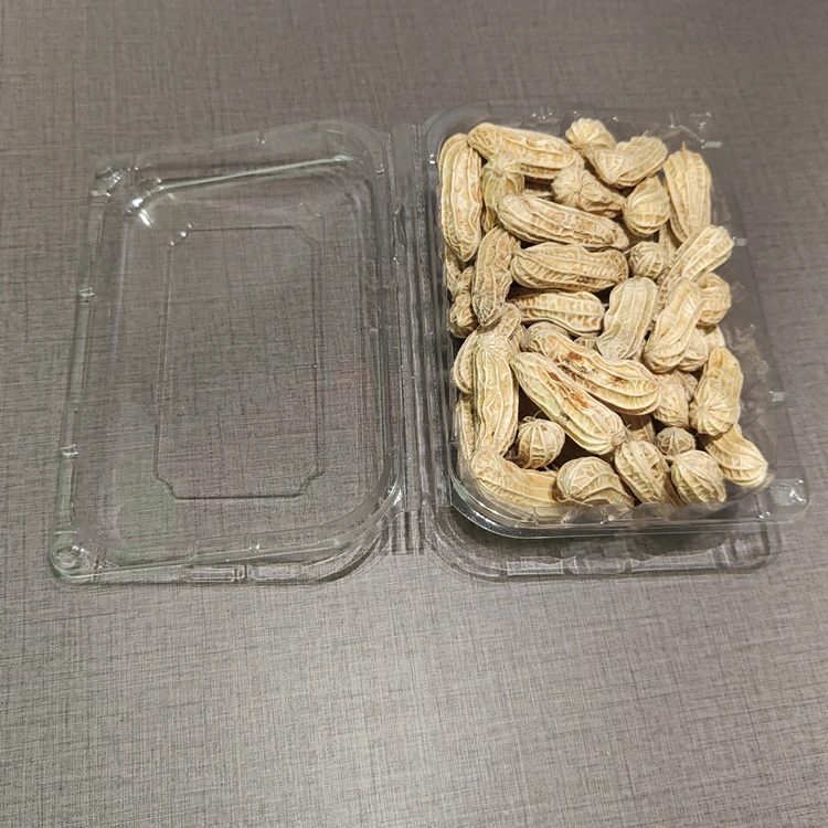 Disposable Clamshell Packaging Peanut Fruits Clear PET Plastic Box Blister Clamshell Container
