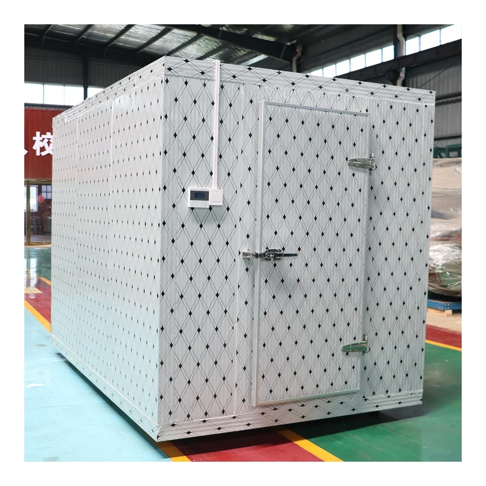 Flower Fruit Stored Waik in Cold Storage Cold Room