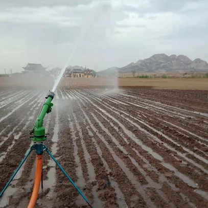CHINA Good Quality PY30 PY40 PY50 Water Irrigation Rain Gun Sprinkler For Automatic Irrigation System