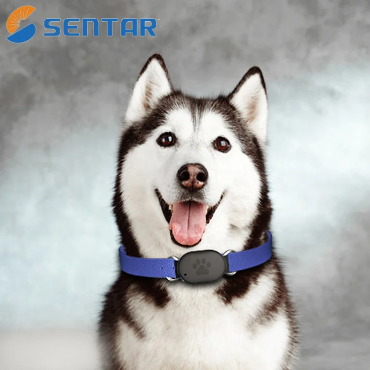 Europe popular pet tracker low price gps tracker with panic button hot sale gps tracker real time positioning wifi lbs