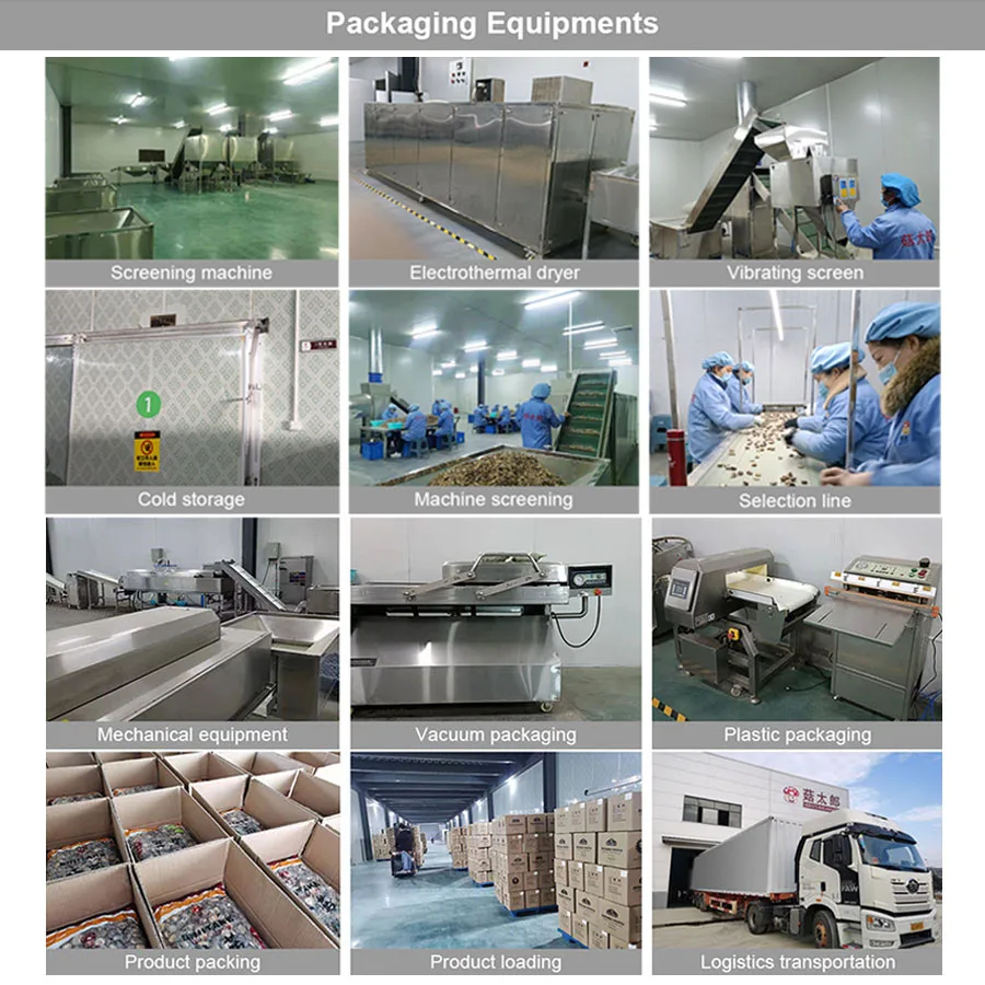 Organic grinding pulverized shiitake mushroom powder 180g