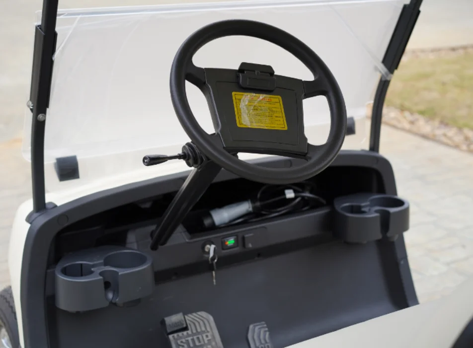 Chinese Product Vintage Classic Moke Car Travel Electric Sightseeing Car