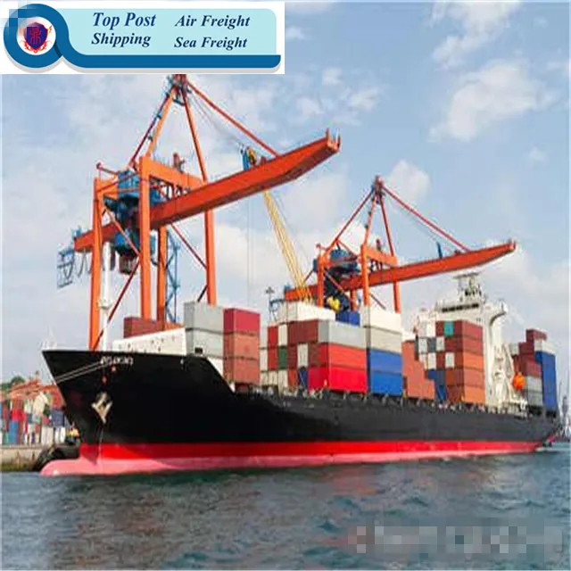 
China sea logistic agent and lower shipping rate/from China to Germany/France/Netherland/doorto doorDDPservice 
