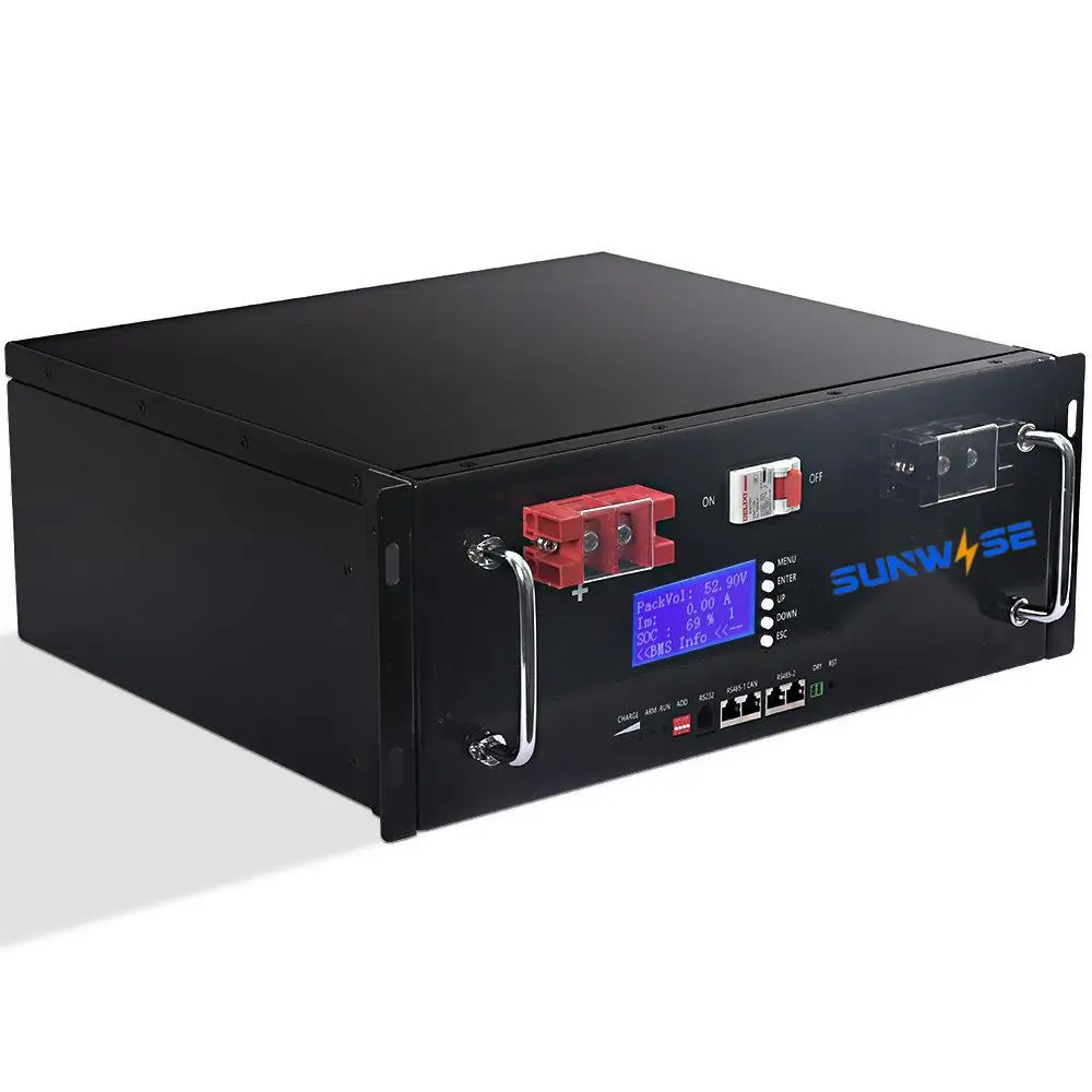 Lithium ion batteries Rack Mount Lifepo4 Solar Energy System Storage 51.2v Lithium Ion Battery 48v 50ah 100ah 200ah 280ah