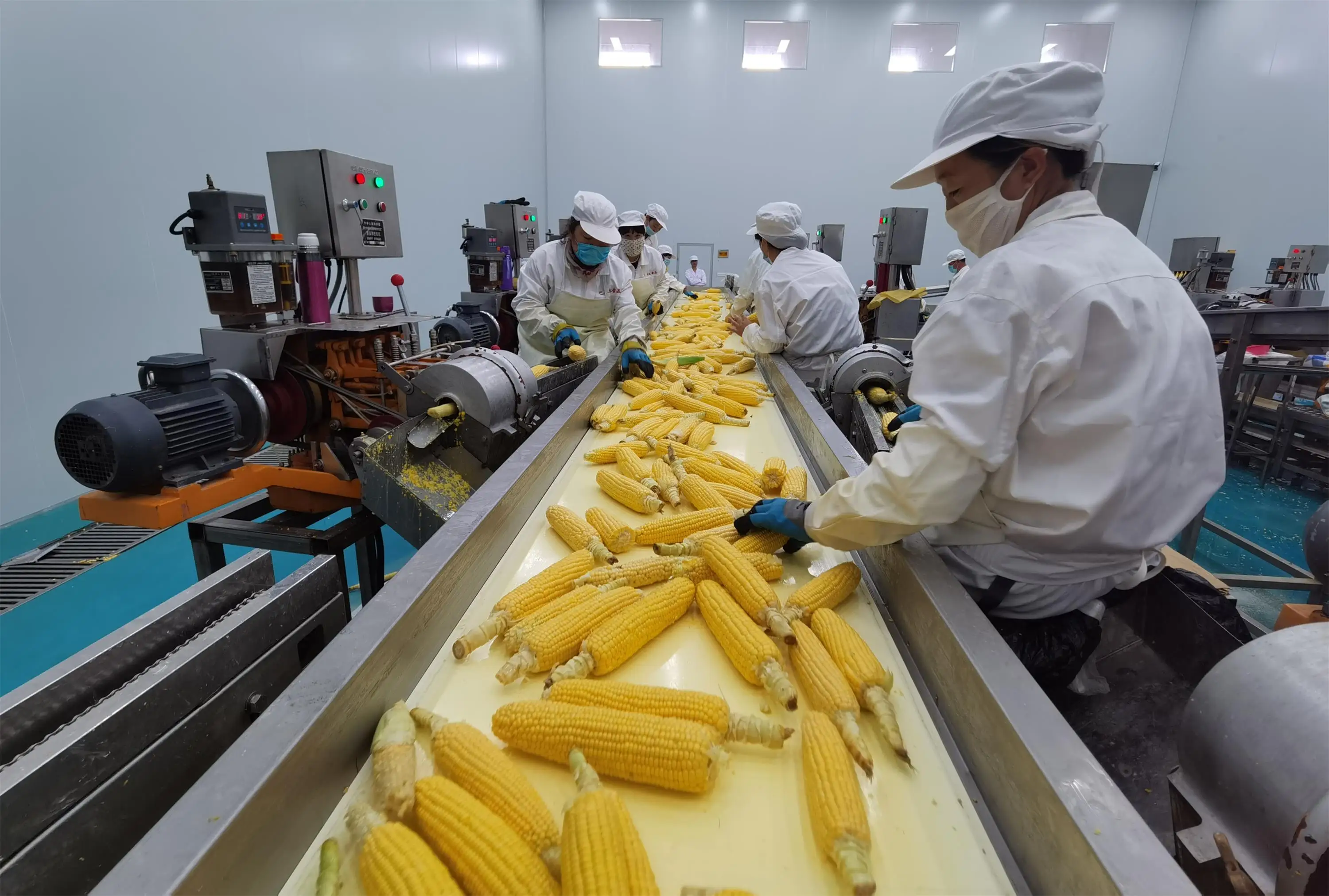 Лучшее качество с заводской низкой ценой продажа оптом консервированная желтая кукуруза Maiz