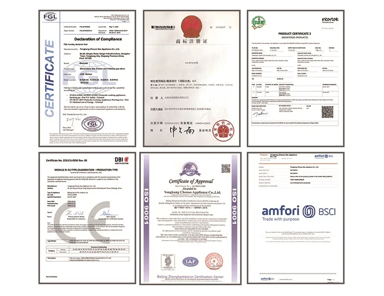 Stand Gas Stove Kitchen Cast Iron Burner Stainless Steel Gas Stove