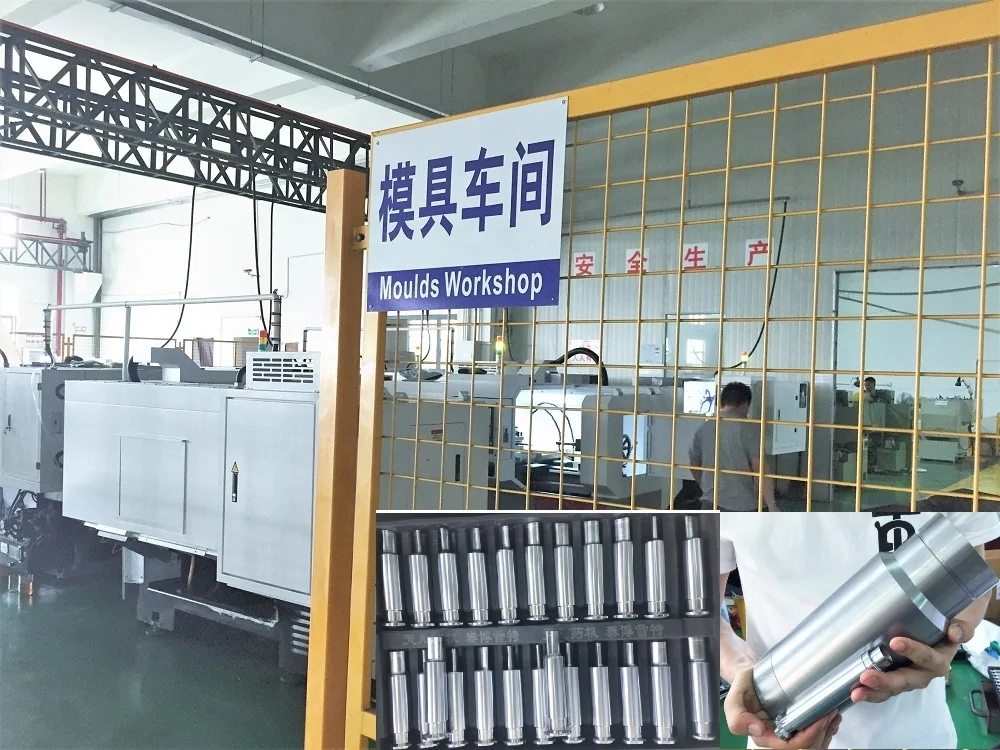 ZPT pill press dies