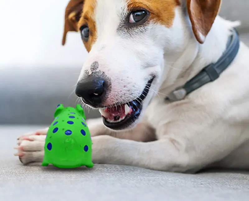 Lovely pig shapes ultra-durable Innovational Latex Chewing Dog Toys