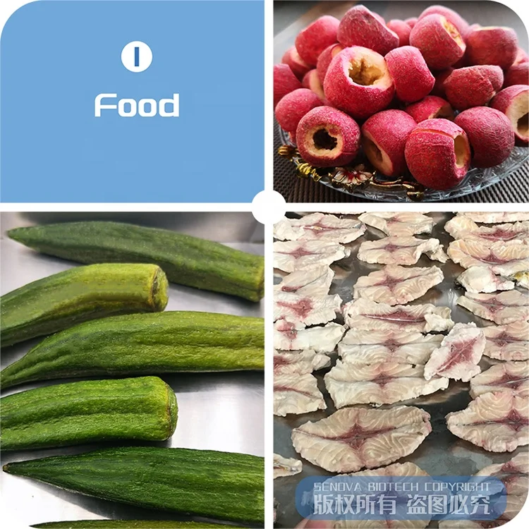 5 кг один ключ старт промышленная фруктовая овощная еда пилот Вакуумная сушилка