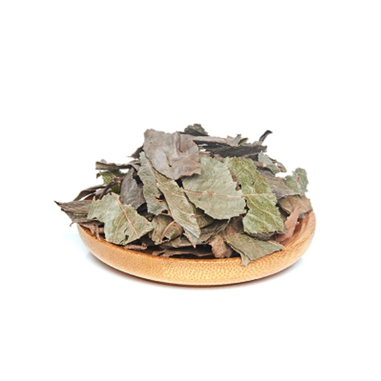 
100% Natural Herba Ardisiae Japonicae 