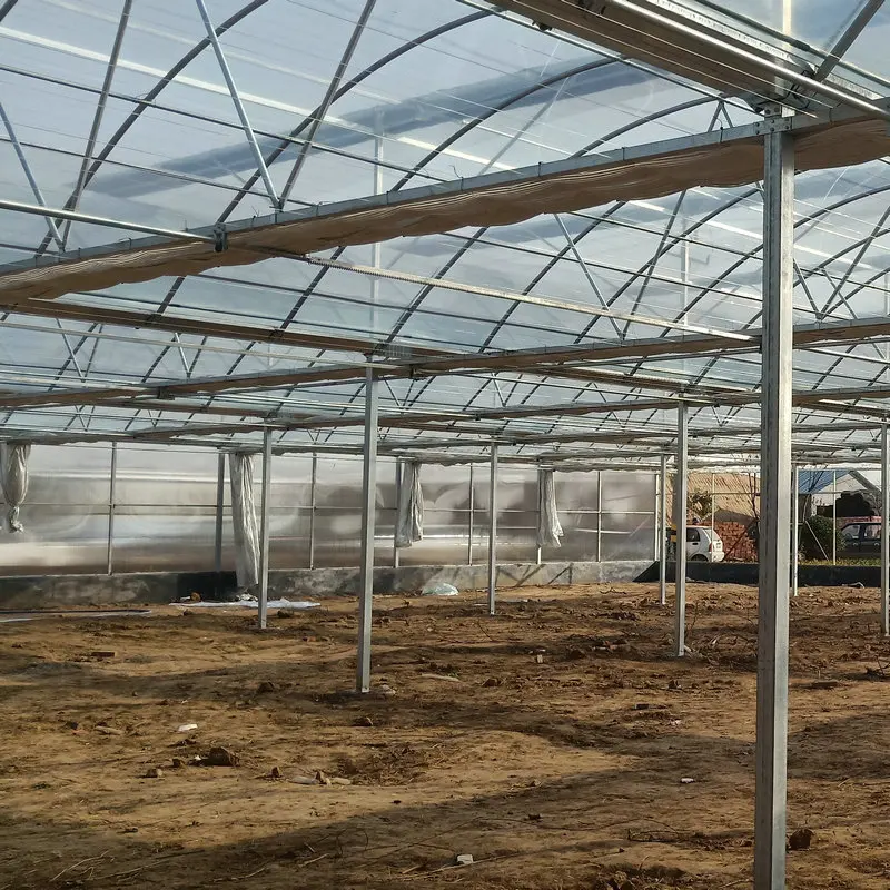 high quality big span garden multispan greenhouses for sale made in China