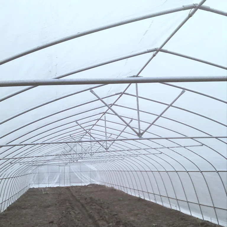 Low Cost Mini Tunnel Greenhouse for Tomato/Cucumber/Seed Breeding for Sale