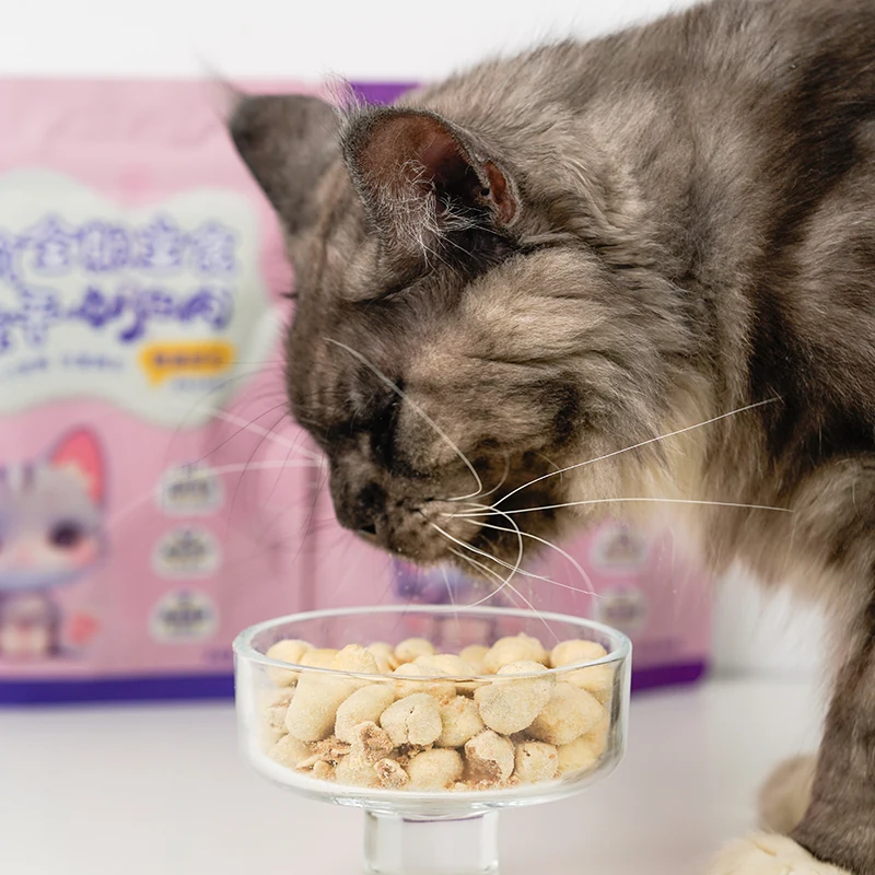 OEM Manufacturer Price Peptido Factory Freeze-Dried Pet Snacks Universal Cat Snacks 60g Cat Snacks