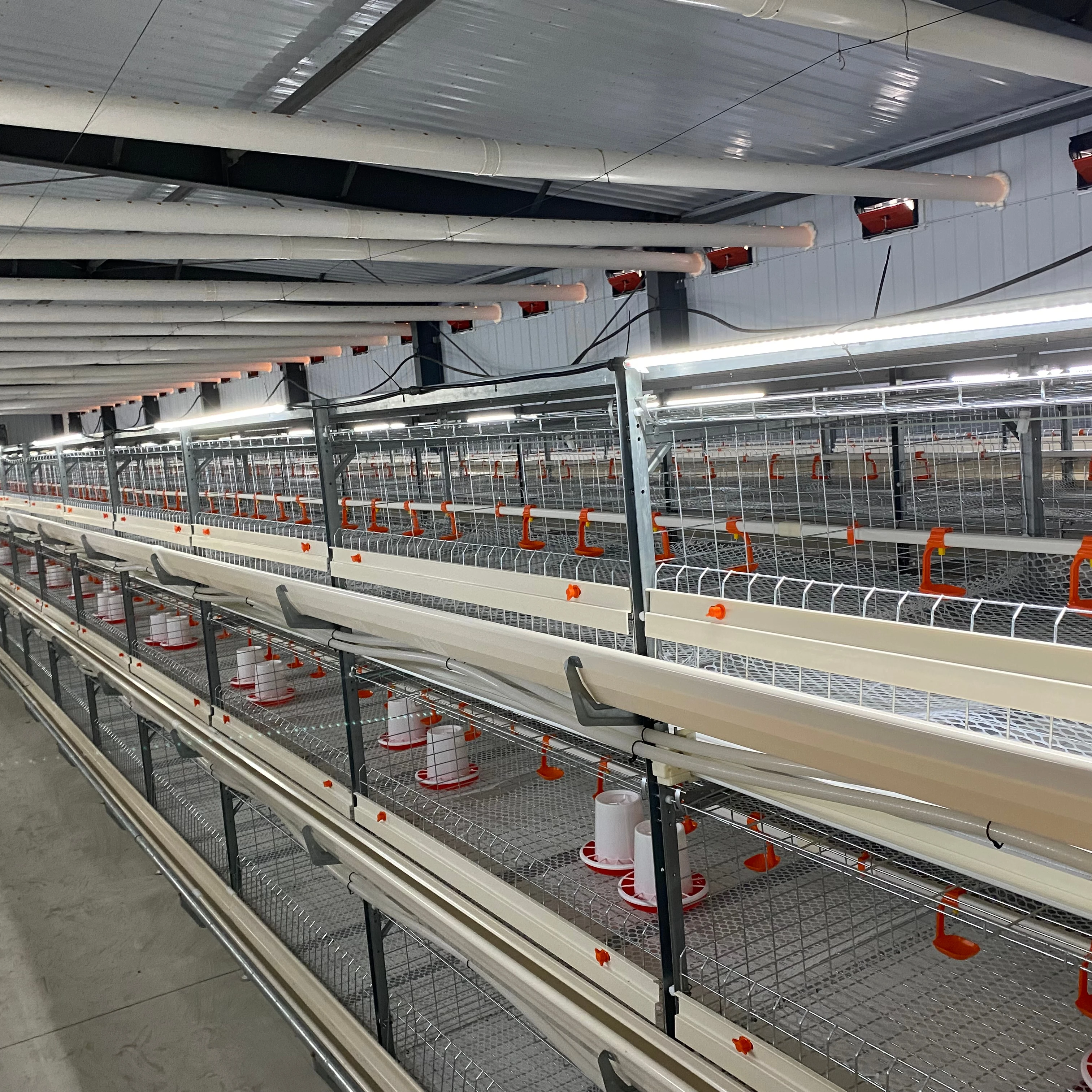 Poultry Farms h type automatic battery breeding broiler chicken cage