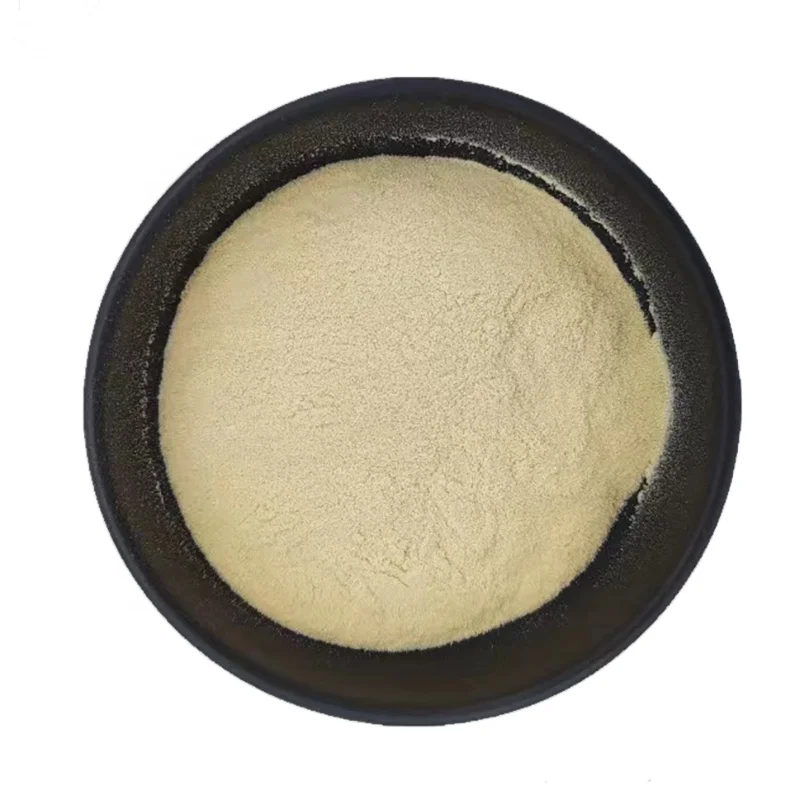 Health Panax Ginseng Root Extract Powder 10:1 ginsenoside