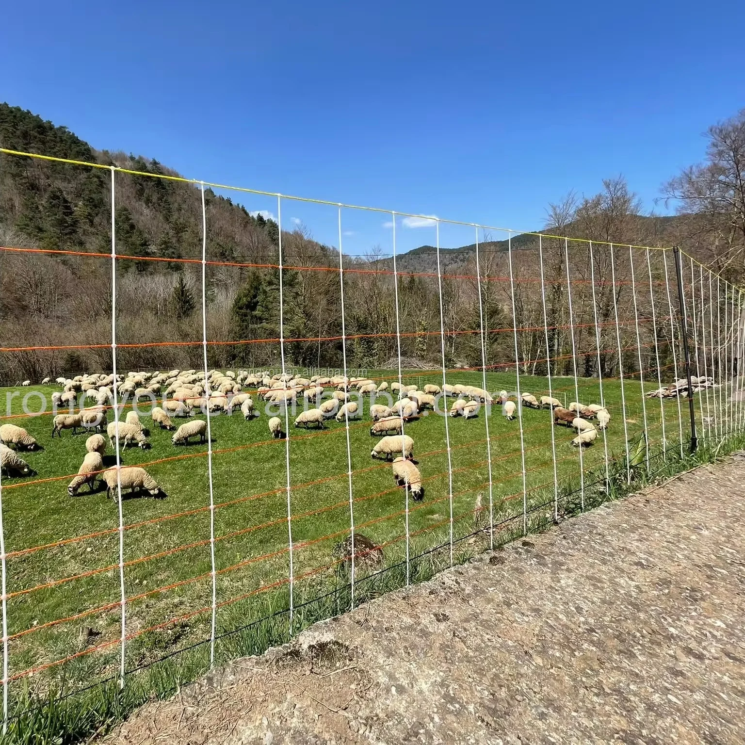 Semi-rigid Netting strong stand support well  electric fence net sheep poultry fence netting