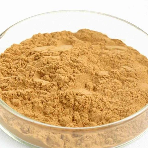 
Factory Ginseng Root 5% 20% Ginsenosides Low Pesticides Red Ginseng Root Extract 