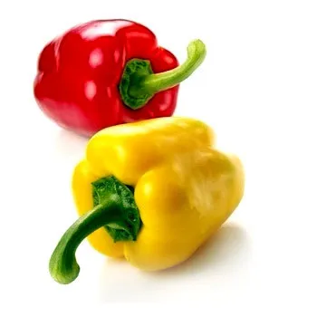 
Fresh Capsicum -Yellow green and red capsicum-Fresh Capsicum Pepper 