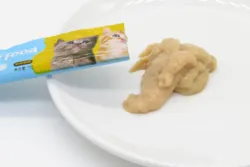 Professional Factory Price Hot Selling fish Meat snack cat food