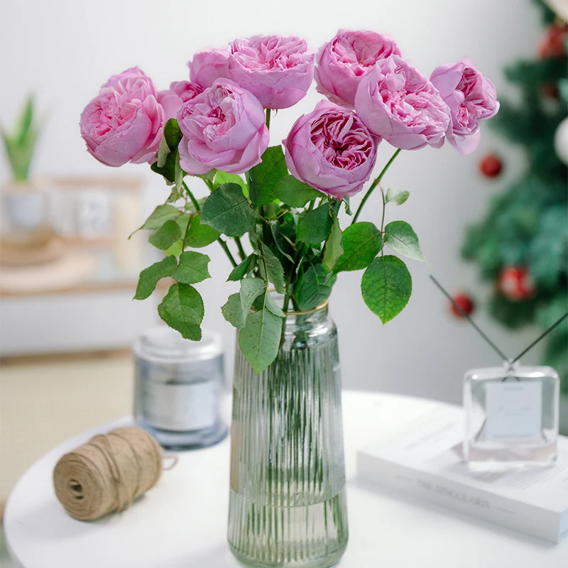Wholesale High Quality Kunming Fresh Cut Flowers Kelly Fresh Roses for Home Flower Arrangements