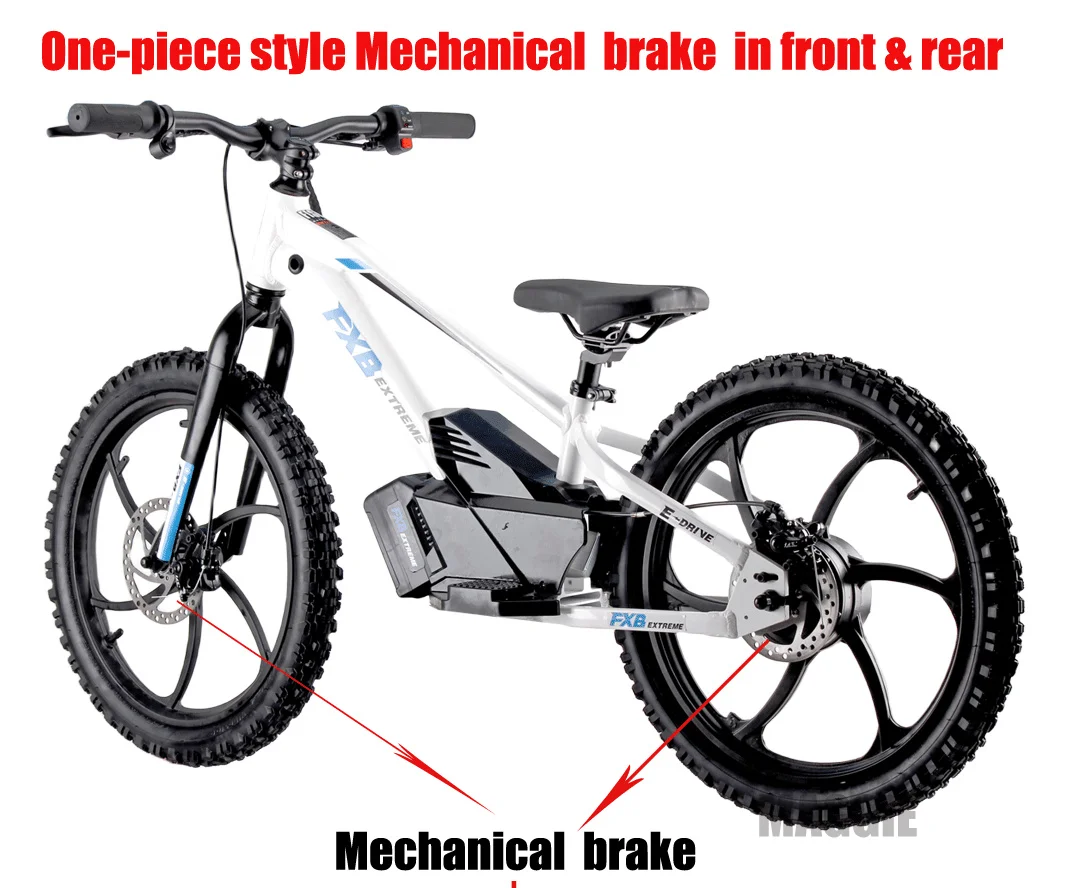 Hot Sell 20inch Lithium Battery 5.0ah 600W Electric balance bike FXB Style kids bike electric motorcycle