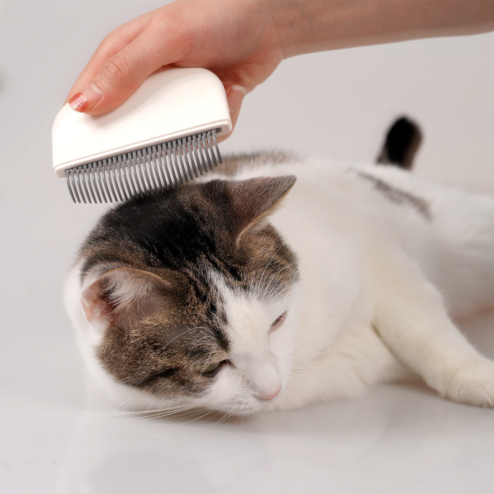 Custom New Design Pet Grooming Brush One key Remove Hair Comb