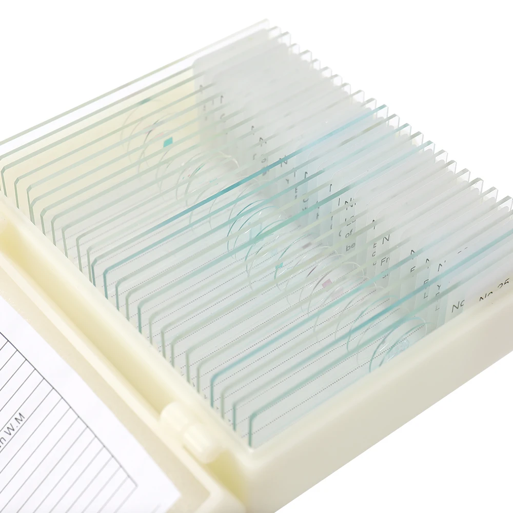 Mixed 25pcs Plant Insect Prepared Microscope Slides Set in Histology