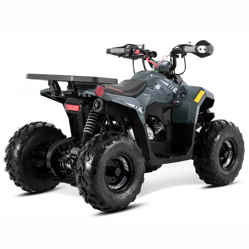 Tao Motor 2025 New Quad Bike Cuatrimoto Cheap Chinese Kids 110cc ATV with EPA CE