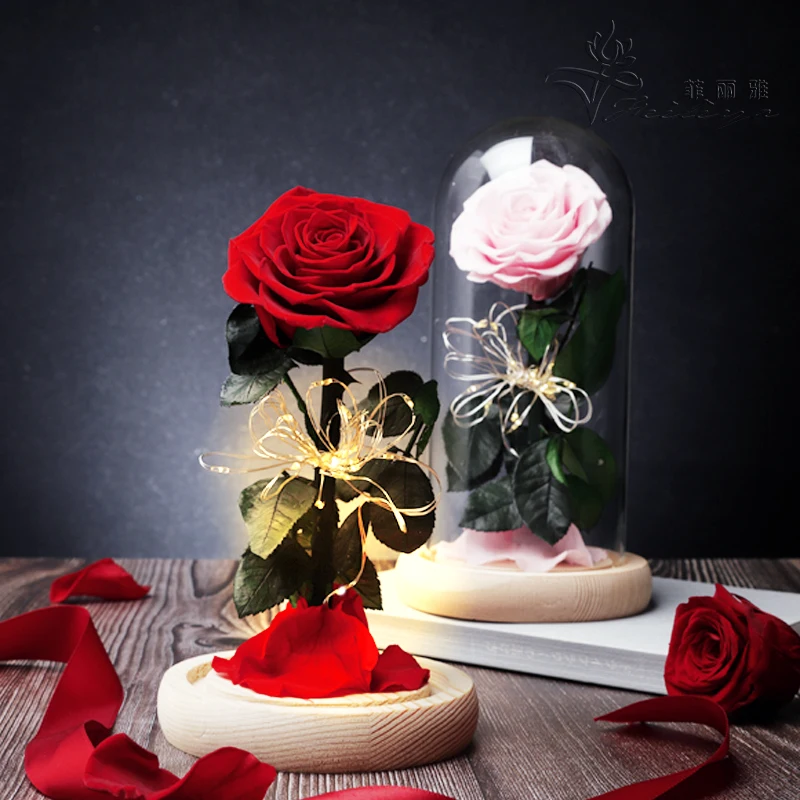 Amazon Hot Selling Competitive Price Preserved Rose in Glass Dome with Gift Box for Christmas Chinese New Year Box 2pcs 2021