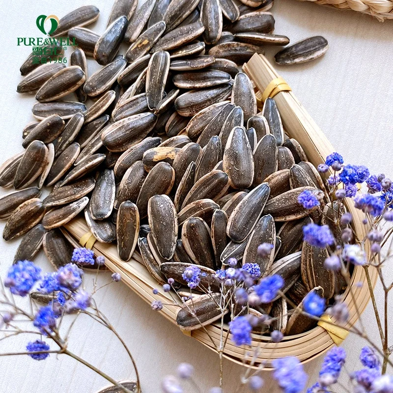 China factory supply  white dried sunflower seeds black