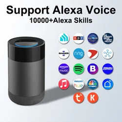 Smart Life Wifi Echo Dot Smart Speaker Alexa Voice Home Assistant Wireless Controlled by app
