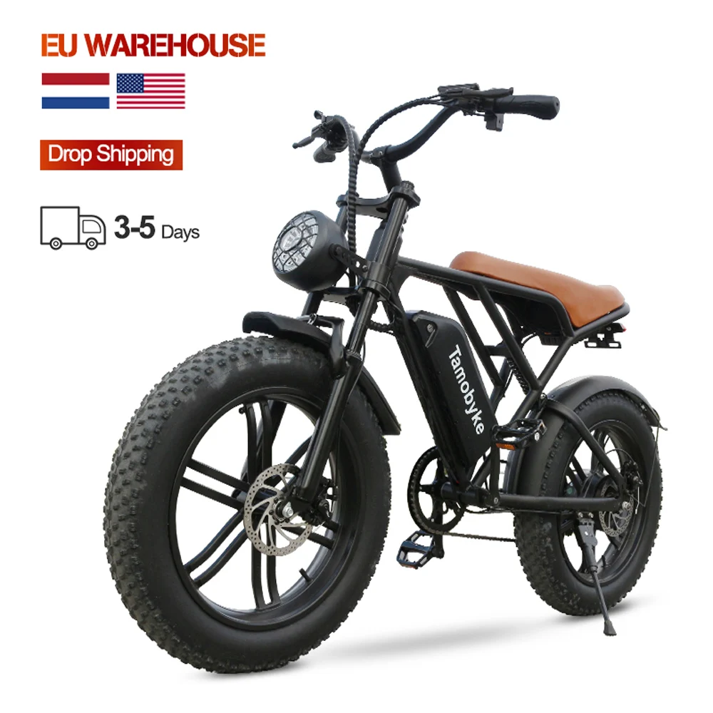 EU Warehouse US Wholesale 750W Electric Hybrid Bike Dirt Electric Mountain Bike Steel LCD Display Electric Fat Tire Bike Adult