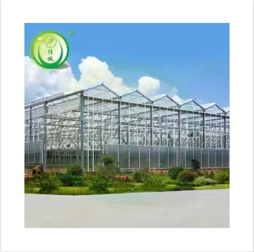 Jiapei greenhouse factory supply modern venlo greenhouse 8mm polycarbonate  agricultural greenhouses pc with hydroponic system