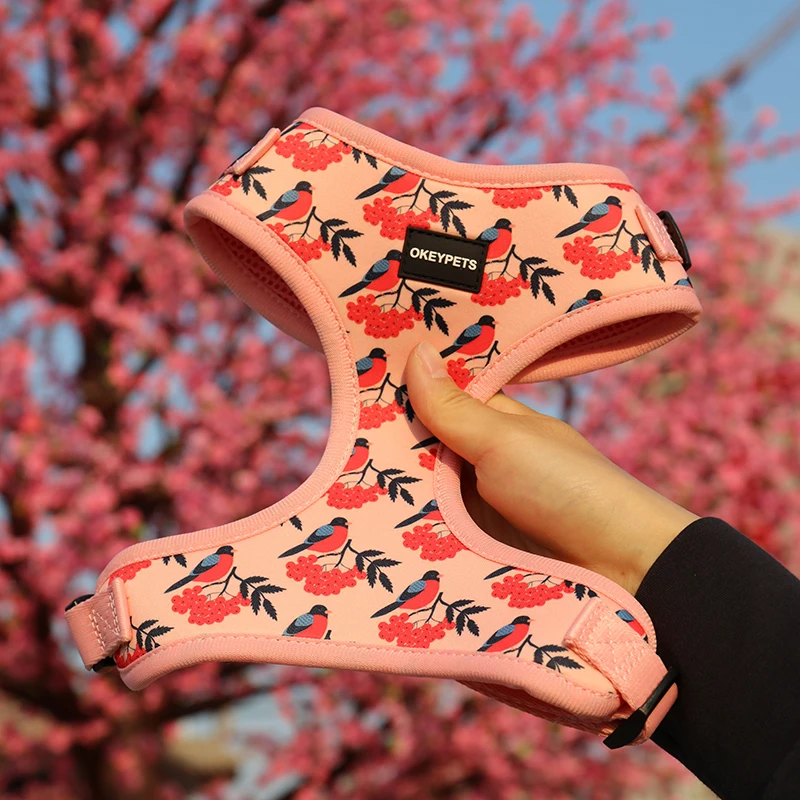 Custom Logo luxury fashion adjustable velvet neoprene printed pet dog leash reversible chest harness