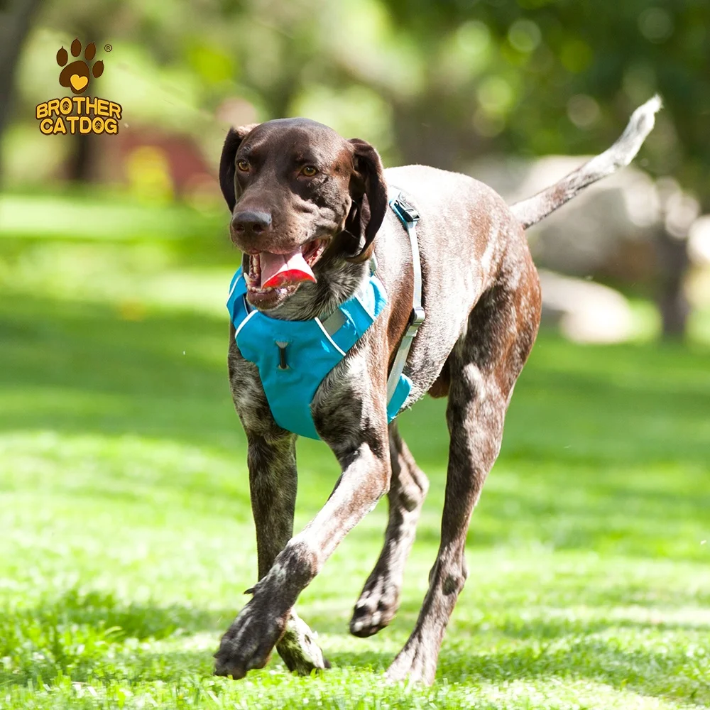 Hot Selling Soft Padded Reflective Dog Vest Harness  Breathable Adjustable No Pull Dog Harness