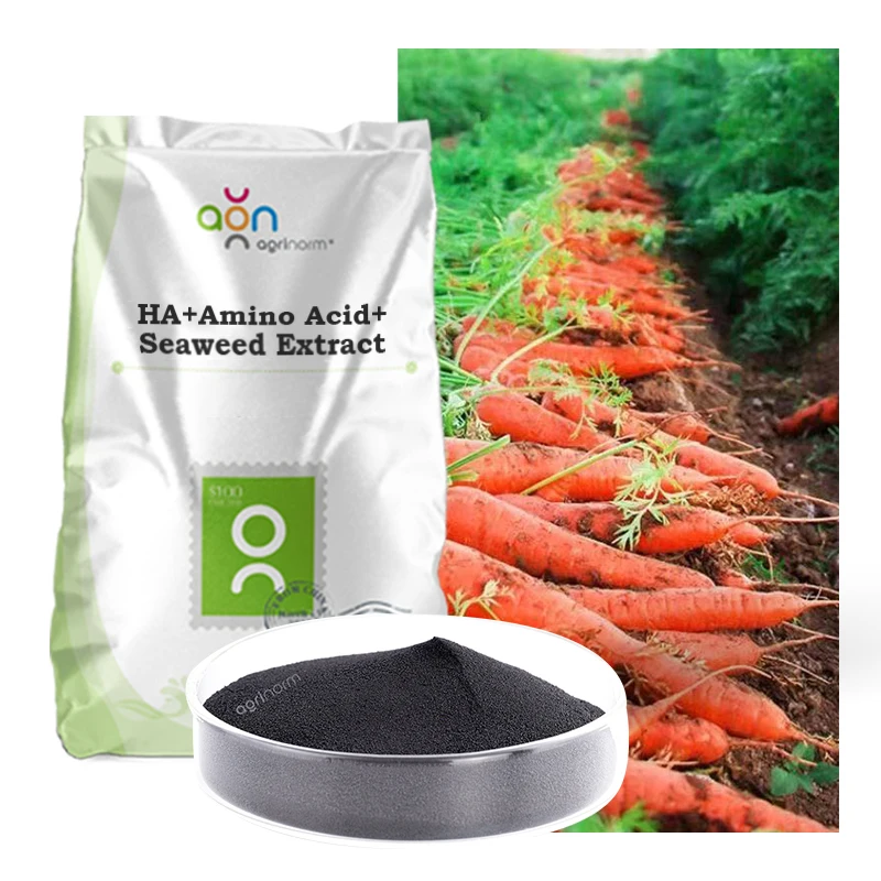 Agriculture Black Granular Humic Acid Plus Amino Acid Bio Shiny Granules Biostimulant Organic Fertilizer