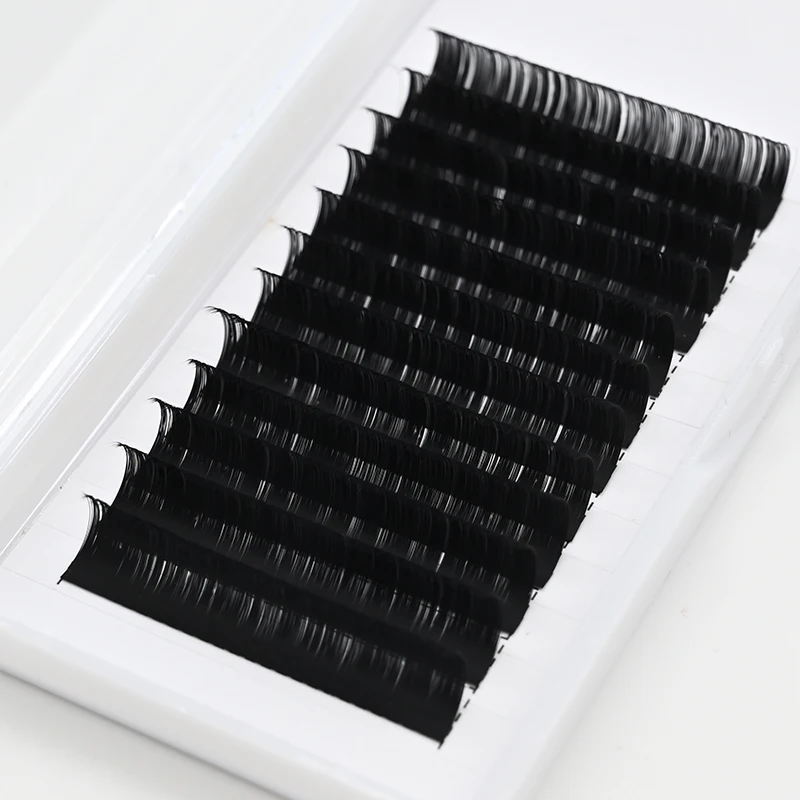 Natural Black Korean PBT Fiber Individual Eyelash Extensions Tray wholesale Classic Lashes Supplier