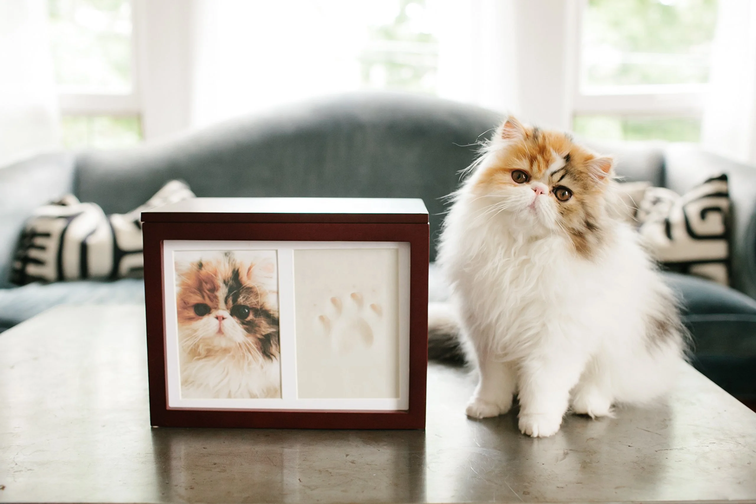 Фоторамка деревянные урны для домашних животных Кремация Cinerary Casket Caffin with Paw
