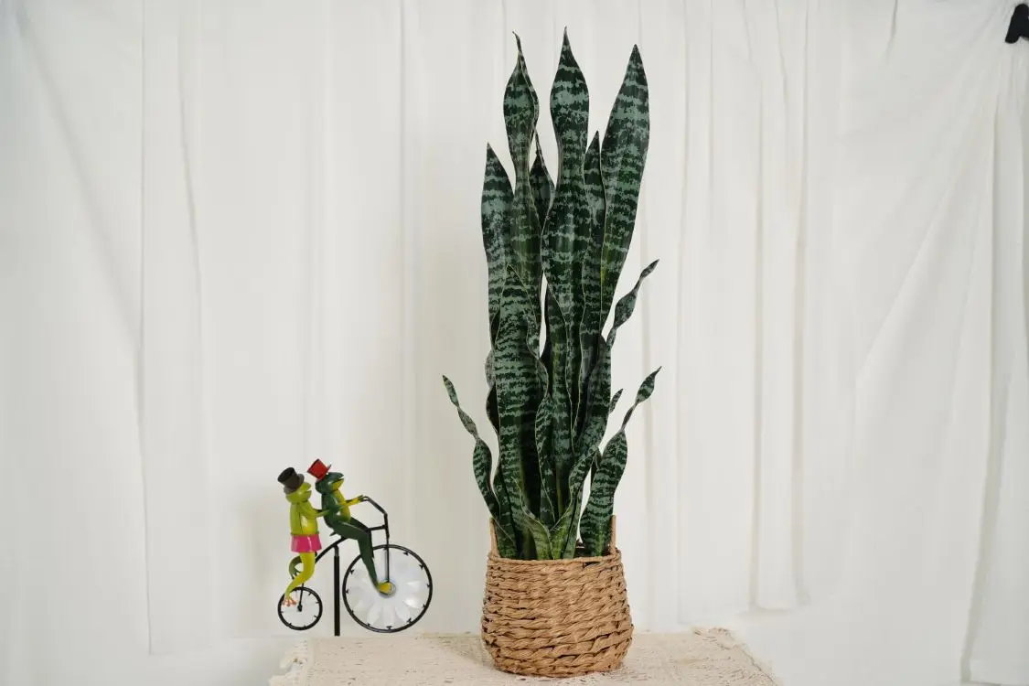 Высококачественное искусственное зеленое декоративное пластиковое растение Hourpark, 80 см, 2 шт., Agave, искусственное растение с кастрюлей с защитой от УФ-лучей