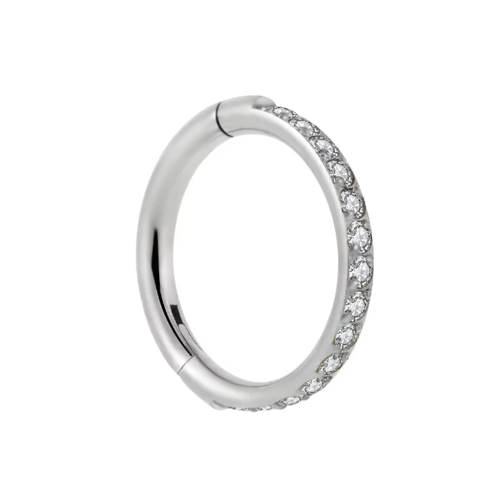 G23 titanium fine carving hinged segment clicker septum nose ring side inlay 15 white zircon PVD body piercing jewelry