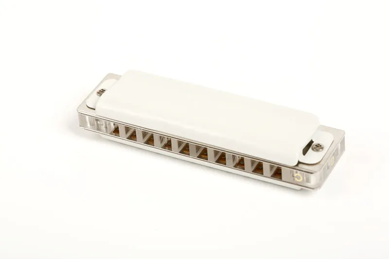 Hot sale EASTTOP 10 holes professional white color blues harmonica(T008L)