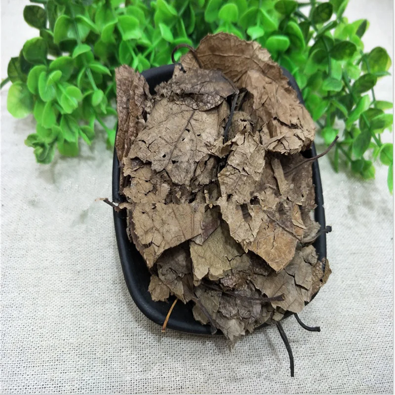 Eucommia ulmoides leaf extract  tu-chung Extract Powder Chlorogenic Acid