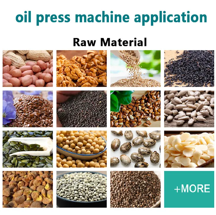 6YL-60 palm oil harvester oil palm presser machine manufacturer
