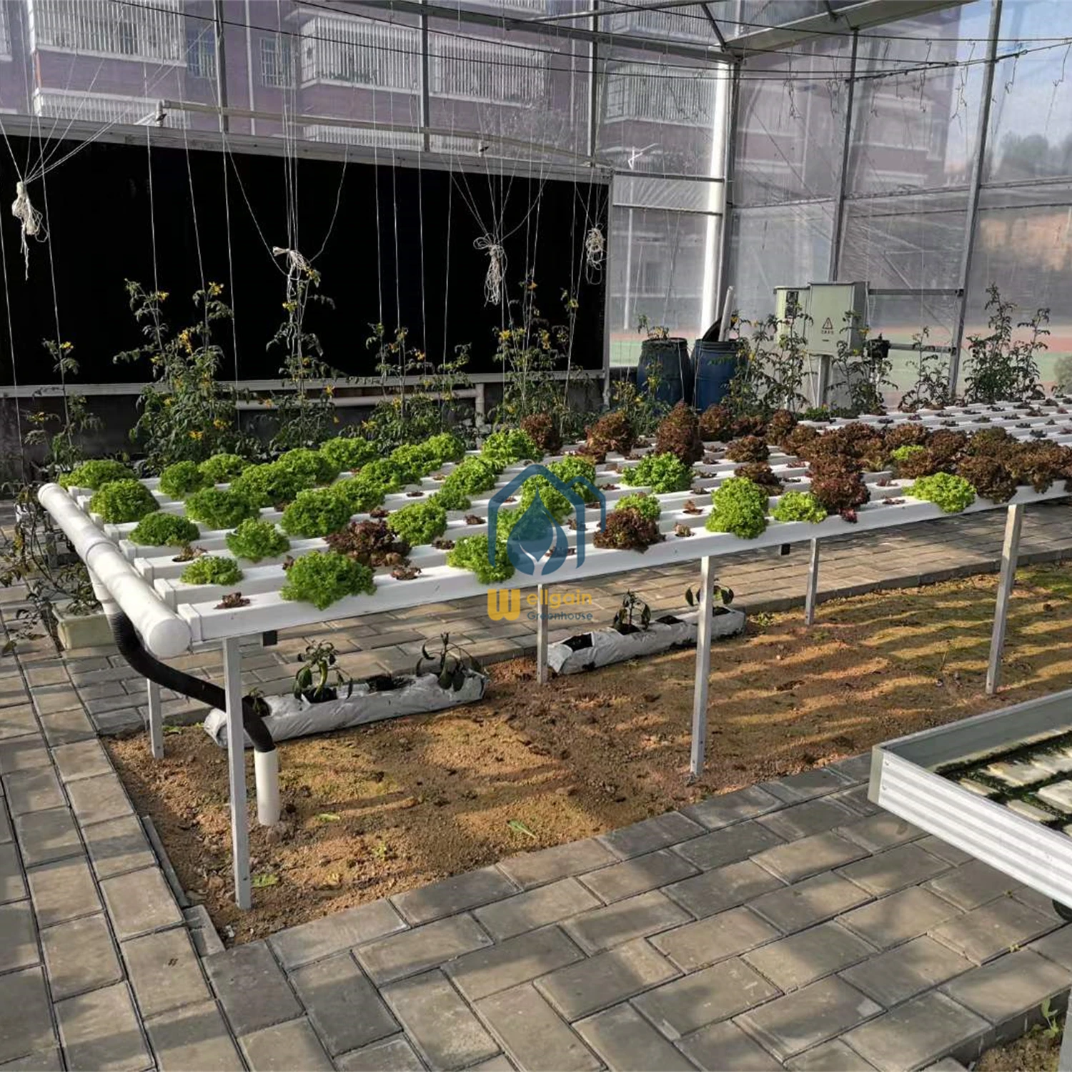 wholesale 100*50 hydroponic rectangular pvc tube / pipe