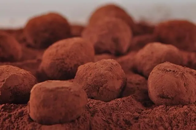 Trufas de Chocolate production line manufacturer