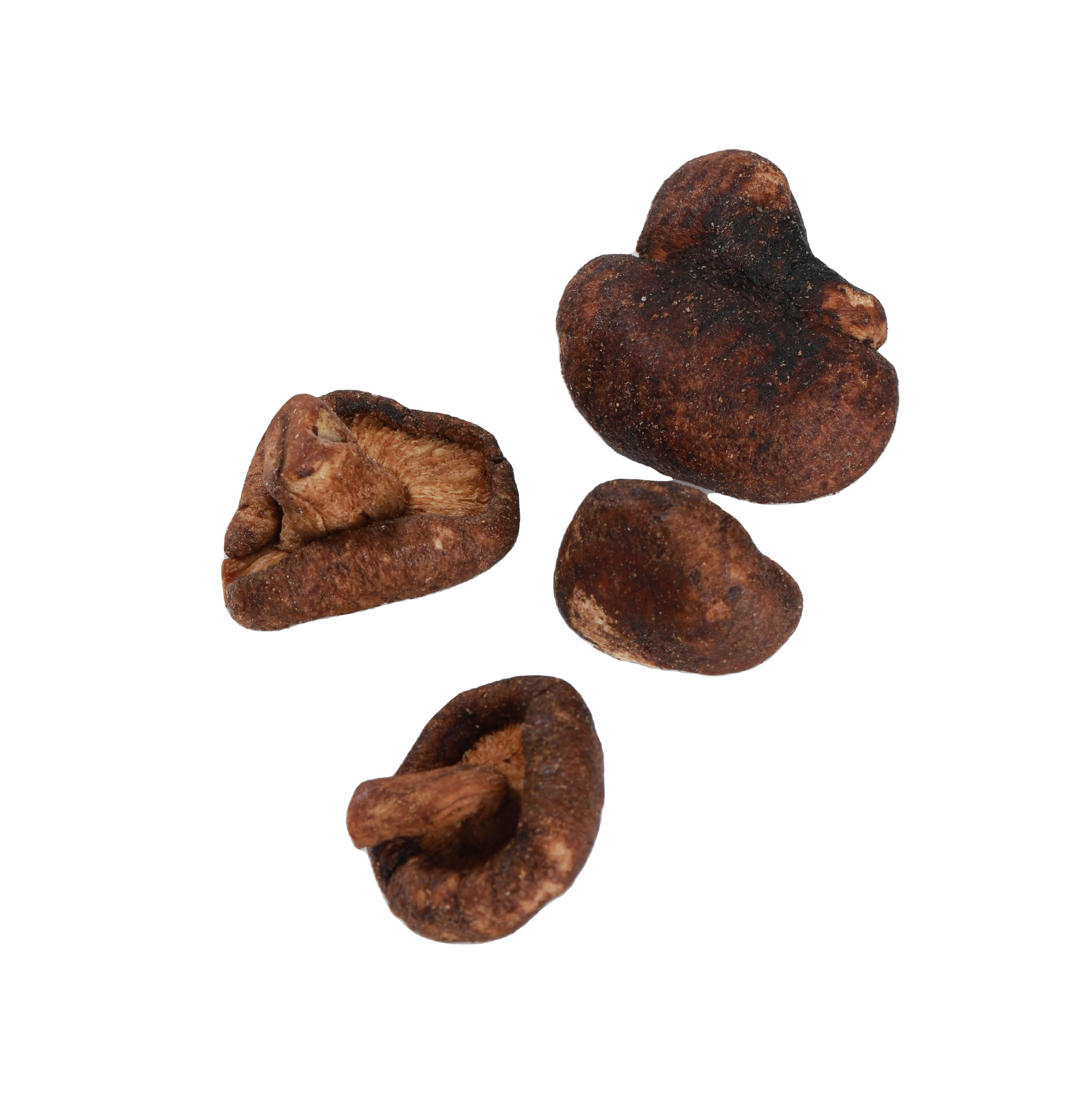 Вегетарианские продукты замороженные сушеные грибы Shiitake