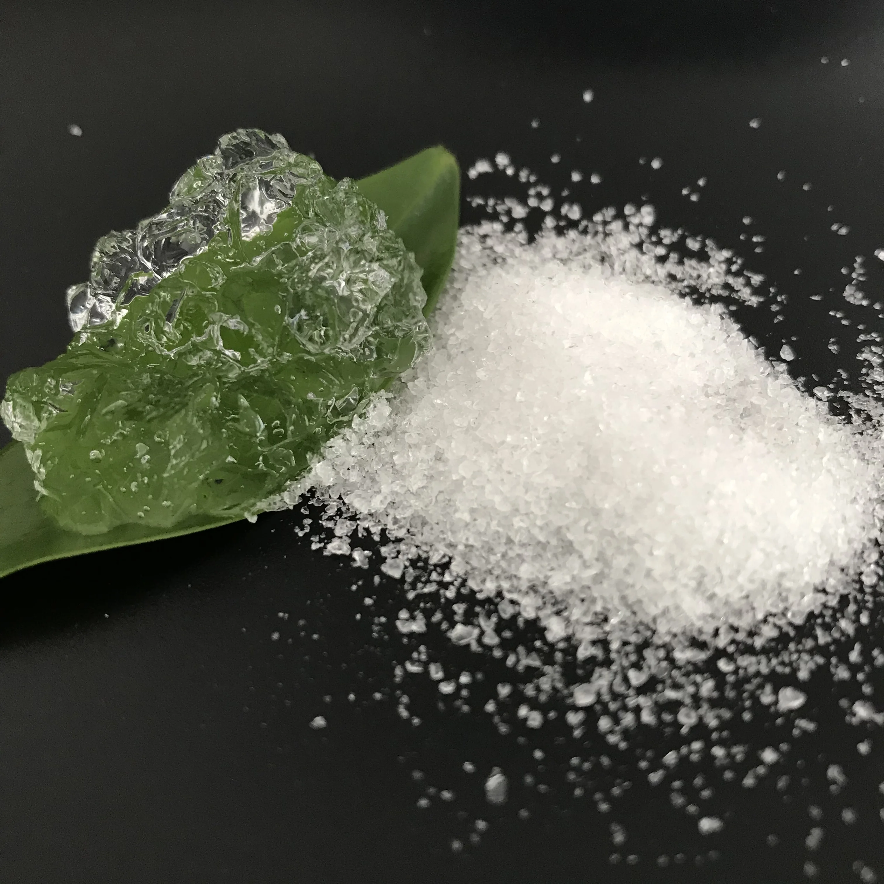 Horticulture water solid rain based potassium polyacrylate agro hydrogel for Magnolia flower CAS 9003-04-7 famer