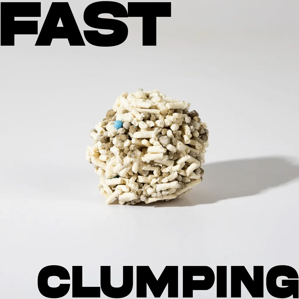 Dust-Free Cat Litter Sand Formula with Bentonite Tofu and Liquid Absorbent Particle Good for Cats